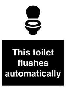 This toilet flushes automatically